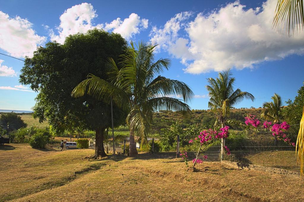 The Beehive Fiji Hotell Rakiraki Exteriör bild