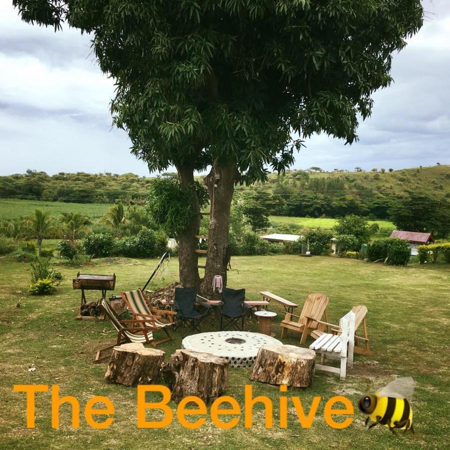 The Beehive Fiji Hotell Rakiraki Exteriör bild